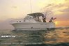 WELLCRAFT boats for sale - Used Express Fisherman