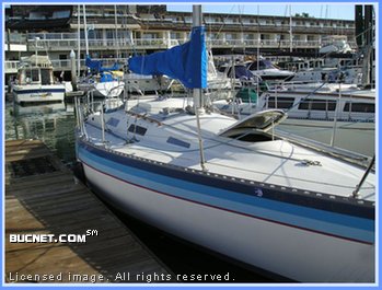 W D SCHOCK for sale picture - Sail,Racer/Cruiser-Aft Ckpt