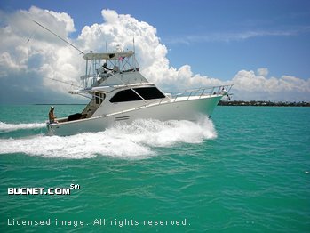 POST MARINE for sale picture - Convertible