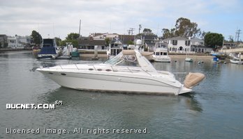 SEA RAY for sale picture - Sport Cruiser