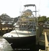 C E RYDER boats for sale - Used Express Fisherman