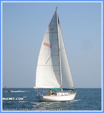 CAL-PEARSON for sale picture - Sail,Racer/Cruiser-Aft Ckpt