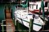 IRWIN YACHTS INTERNATIONAL for sale - Used Sail,Cruising-Aft Ckpt