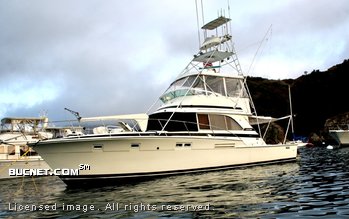 BERTRAM YACHT for sale picture - Sport Fisherman