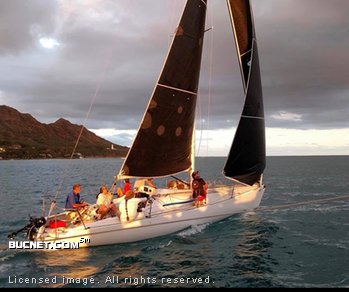 HOBIE CAT for sale picture - Sail,Racer Only-Aft Ckpt