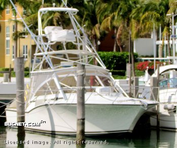 CAROLINA CLASSIC for sale picture - Express Fisherman