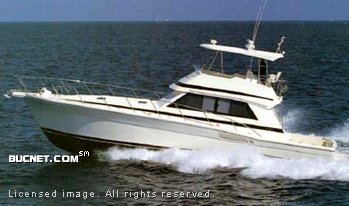 RIVIERA GROUP for sale picture - Sedan Sport Fisherman