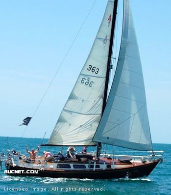 preowned sailboats for sale