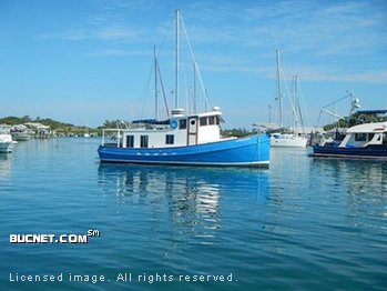 CUSTOM BUILT for sale picture - Tugboat