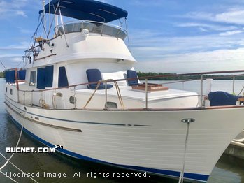 ALBIN for sale picture - Trawler w/Raised Aft Deck & Ckpt