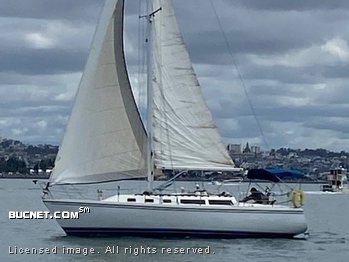 CATALINA YACHT for sale picture - Sail,Racer/Cruiser-Aft Ckpt