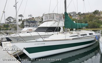 CUSTOM BUILT for sale picture - Sail,Racer/Cruiser-Aft Ckpt