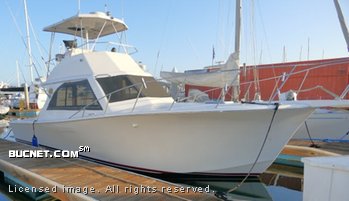 JERSEY YACHT for sale picture - Sport Fisherman