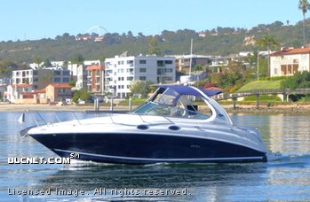 SEA RAY for sale picture - Cruiser