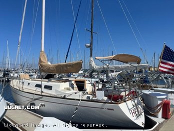 CAL-PEARSON for sale picture - Sail,Racer/Cruiser-Aft Ckpt